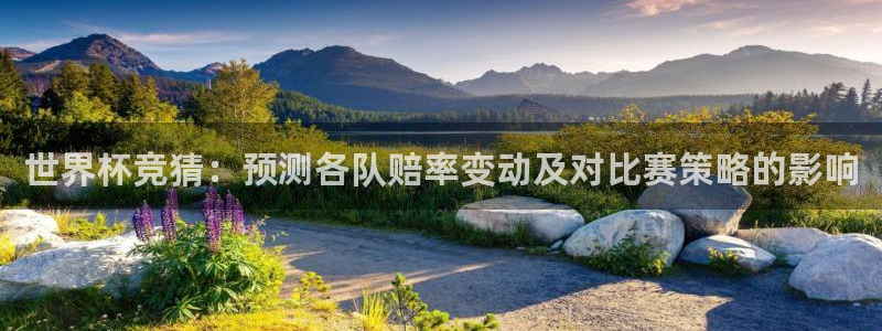足球世界杯时间：世界杯竞猜：预测各队赔率变动及对比赛策略的影响
