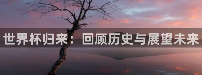 世界杯预选赛赛程时间表：世界杯归来：回顾历史与展望未来