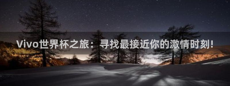 世界杯足球2026：Vivo世界杯之旅：寻找最接近你的激情时刻!