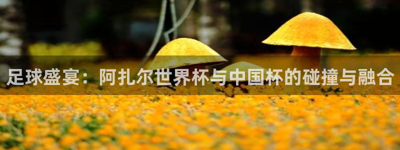 亚洲杯比赛直播：足球盛宴：阿扎尔世界杯与中国杯的碰撞与融合
