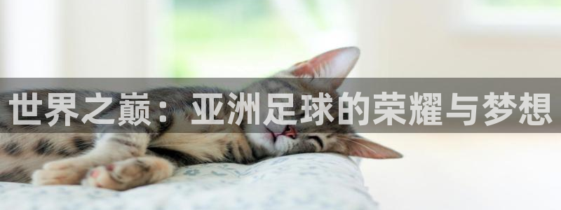 2006世界杯：世界之巅：亚洲足球的荣耀与梦想