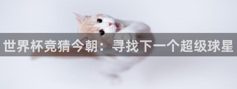 世界杯欧洲预选赛赛程：世界杯竞猜今朝：寻找下一个超级球星
