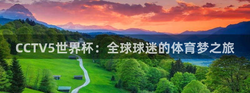 26世界杯：CCTV5世界杯：全球球迷的体育梦之旅