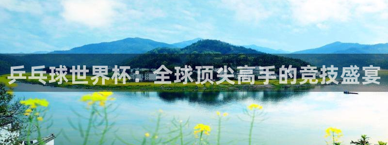 世界杯球队排名：乒乓球世界杯：全球顶尖高手的竞技盛宴