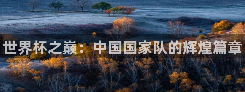 欧洲区世界杯预选赛：世界杯之巅：中国国家队的辉煌篇章