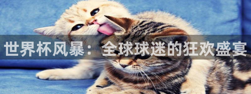2026世预赛赛程：世界杯风暴：全球球迷的狂欢盛宴