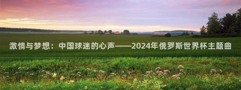 2026世预赛赛程表：激情与梦想：中国球迷的心声——2024年俄罗斯世界杯主题曲